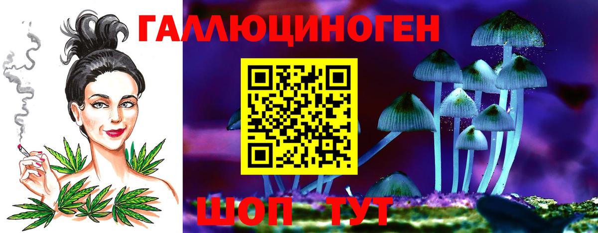 Ачхой-Мартан  Галлюциногенные грибы ЛСД  Галлюциногенные грибы прущие грибы  Вход с VPN 